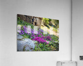 Spring flowers in Ohme Gardens Acrylic Print