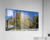 IMG 9898 Acrylic Print