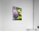 Saving the World Acrylic Print