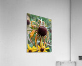 Time Served Acrylic Print