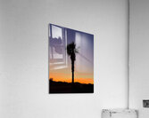 Afterglow Palm Acrylic Print