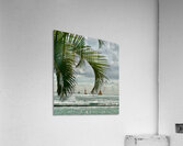 Oahu through the Palms Acrylic Print
