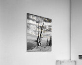 Wenatchee Overlook - black and white Acrylic Print