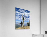Wentachee Overlook - color Acrylic Print