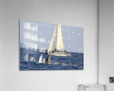 IMG 3372 Acrylic Print