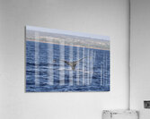 IMG 3379 Acrylic Print