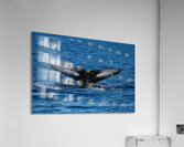 DSC09153 Acrylic Print