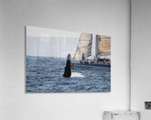 IMG 3364 Acrylic Print