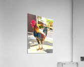 IMG 1103 Copy Acrylic Print