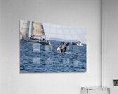 IMG 3369 Acrylic Print