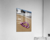 IMG 1727 Acrylic Print