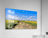 Country Road Acrylic Print