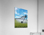 66B8AC6A 6571 4FAB 9070 E89EFFB74593 Acrylic Print