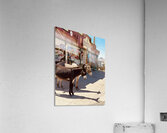 Guardians of Oatman Acrylic Print