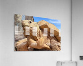 Arizona Tortoise Acrylic Print