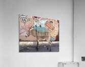 Baby “Ranger” - Oatman Arizona Acrylic Print