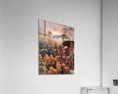 Something in the Orange. Vintage Farmall tractor Acrylic Print