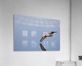 Touching the liquid sky Acrylic Print