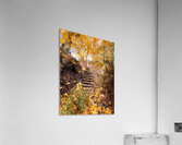 Autumn’s quiet retreat Acrylic Print