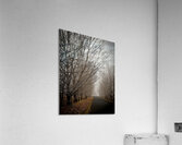 Winter’s Breath Acrylic Print