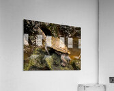 Map Turtle Acrylic Print