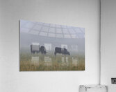 Misty Moood Acrylic Print