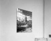 Fine Art Desert Acrylic Print