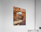 The Arch in Mud Canyon vertical Acrylic Print