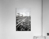 Leading Lines Acrylic Print