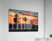 5 Mile Landing - Topock Marsh Acrylic Print