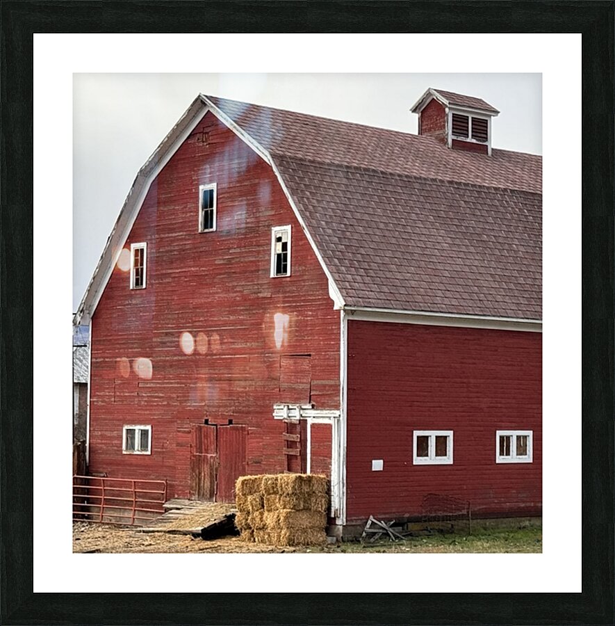 Americana Picture Frame print