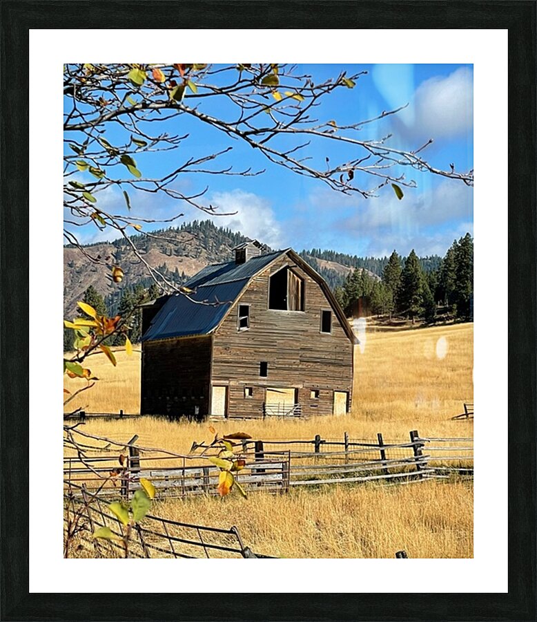 Dunford Barn 1 Picture Frame print