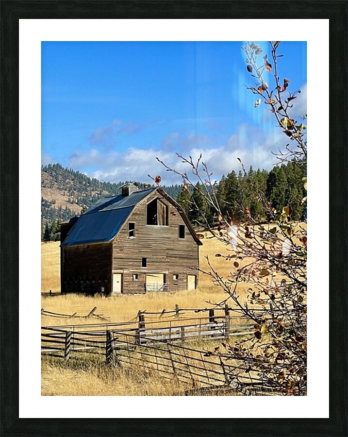 Dunford Barn 2 Picture Frame print