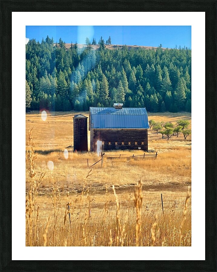 Dunford Barn 4 Picture Frame print