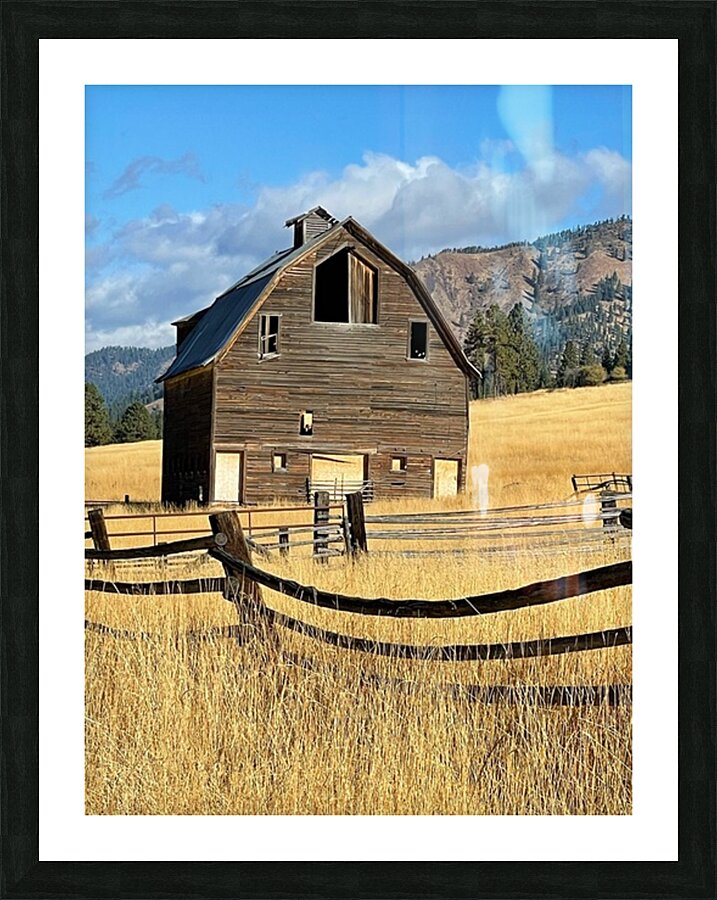 Dunford Barn 3 Picture Frame print