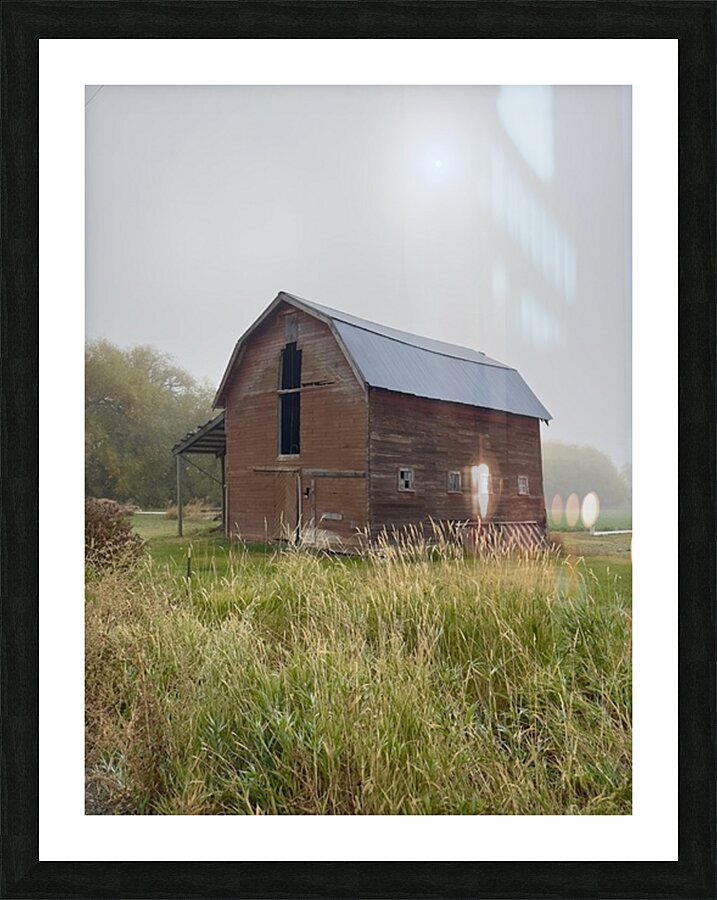 Barn in the mist 1 Picture Frame print