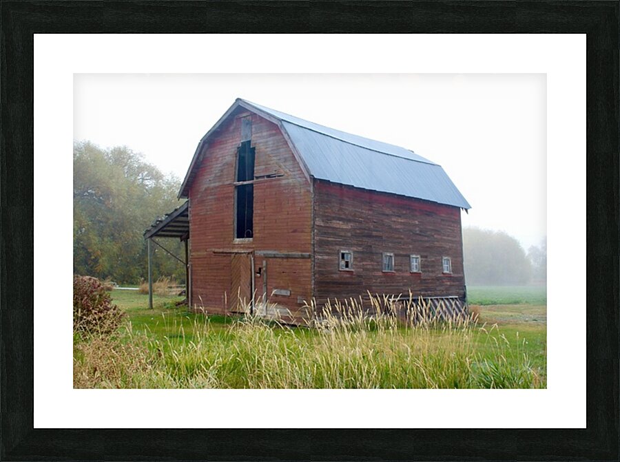 Barn in the mist 2 Picture Frame print