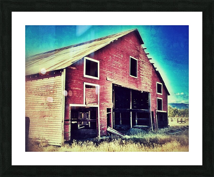 Distressed old red barn Picture Frame print