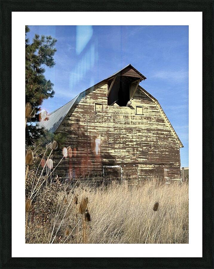 Colfax Barn 1 Picture Frame print