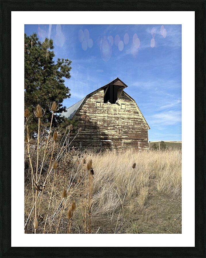 Colfax Barn 2 Picture Frame print