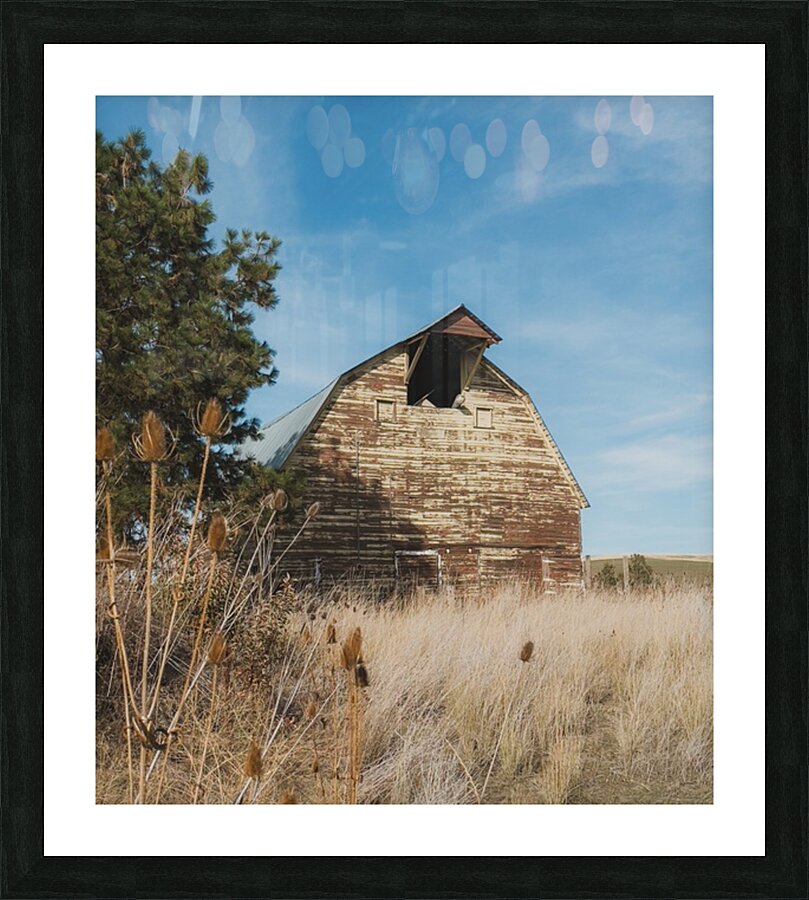 Colfax Barn 3 Picture Frame print