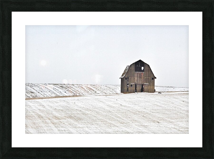 Standing Resolute 2 Picture Frame print