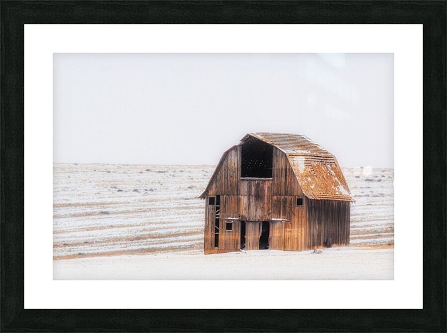 Still Standing Picture Frame print