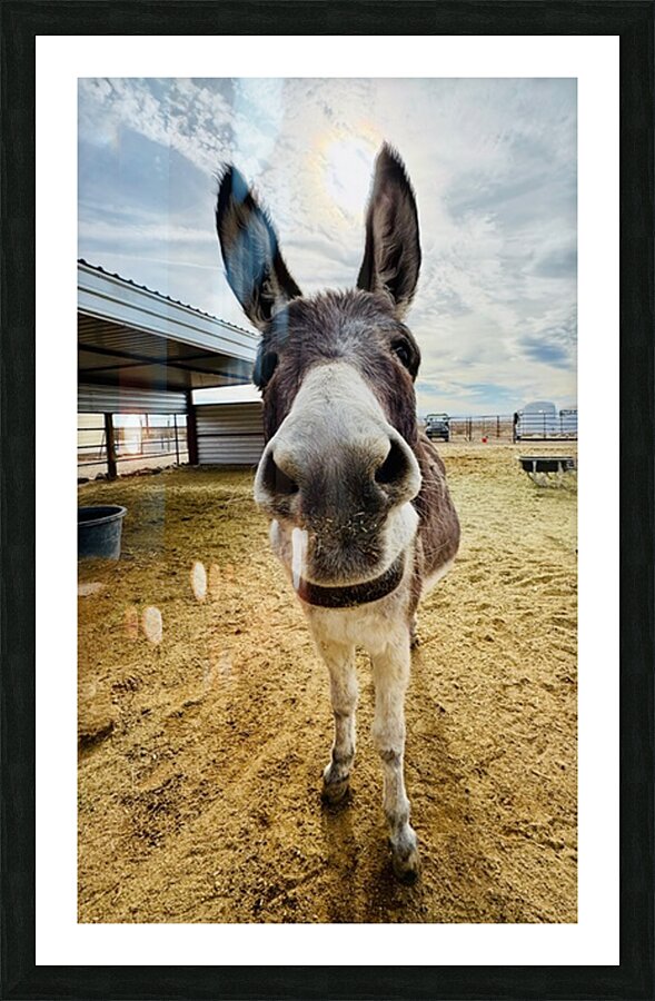 Lolita Picture Frame print