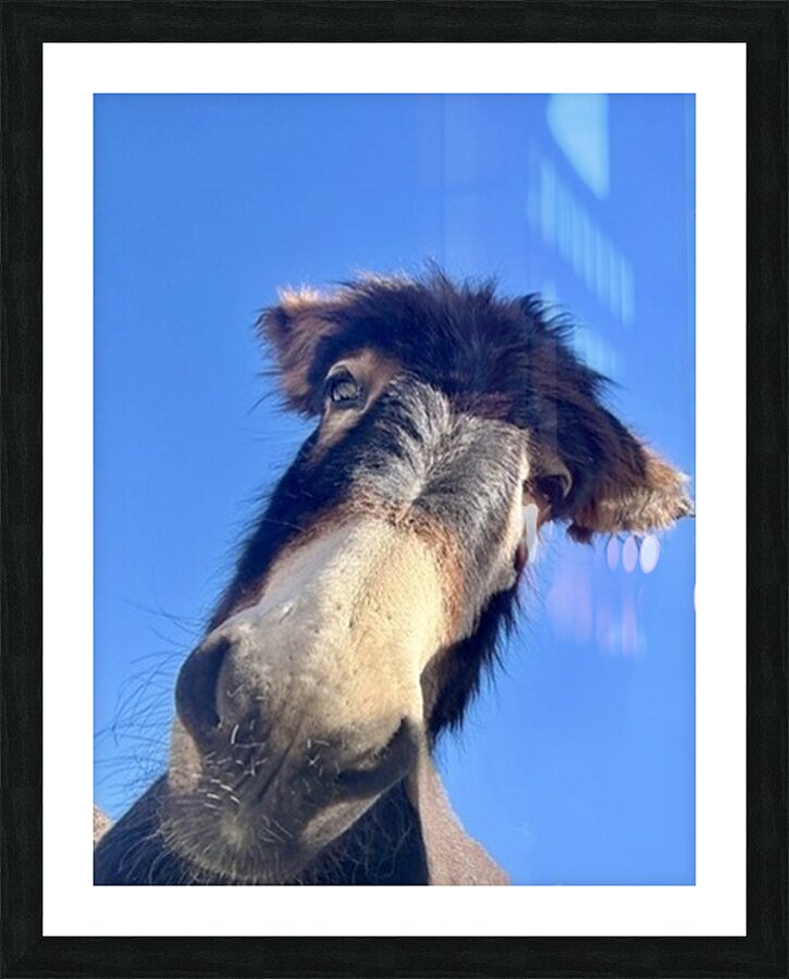 Stormy Picture Frame print