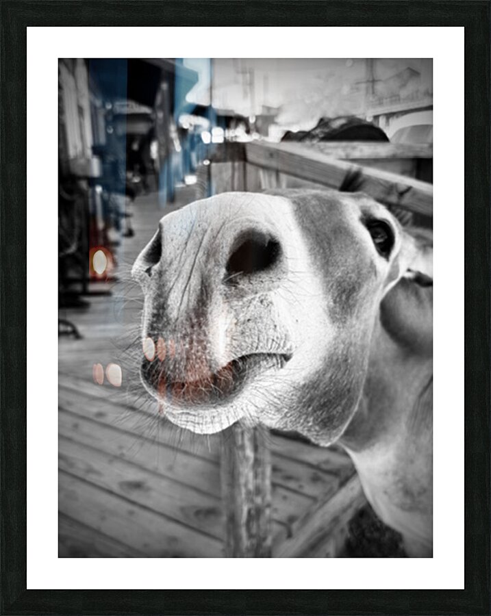 Give us a Kiss - black & white Picture Frame print