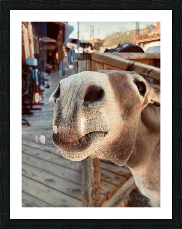 Give us a Kiss Picture Frame print