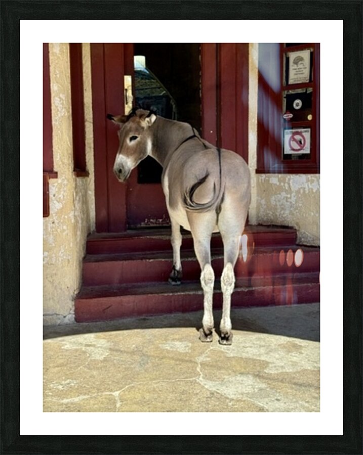 My eyes are up here  Picture Frame print