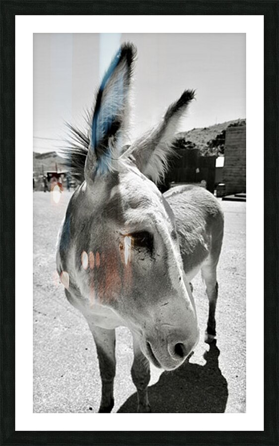 Oliver the Sheriff of Oatman - 2 Picture Frame print