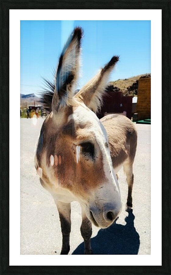 Oliver the Sheriff of Oatman -3 Picture Frame print